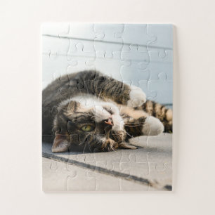 Lazy Cat Lounging on Porch Jigsaw Puzzle