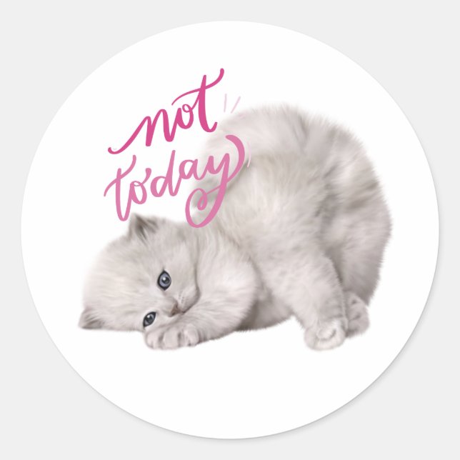 Lazy Cat Saying Not Today Funny Sticker (Front)