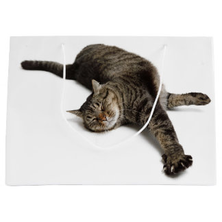 Lazy Cat Stretching Large Gift Bag