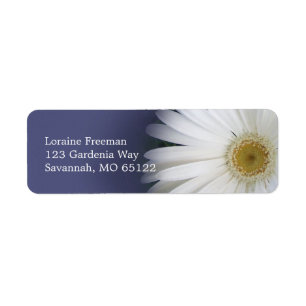 Lazy Daisy Label