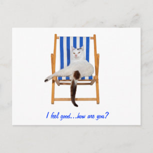 Lazy Day`s Postcard