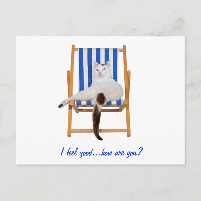 Lazy Day`s Postcard (Front)