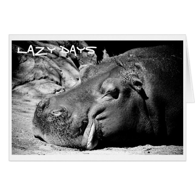 Lazy Days Card (Front Horizontal)