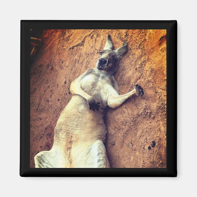 Lazy Days Kangaroo Magnet (Front)