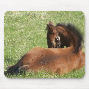 Lazy Days Mouse Pad