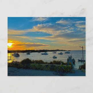 Lazy Days on Rottnest Island Australia  Postcard
