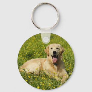 Lazy Golden Key Ring