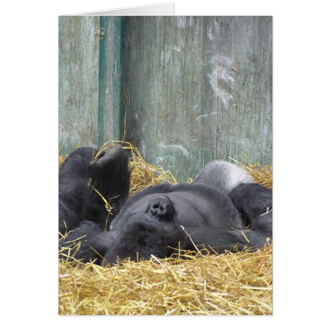Lazy Gorilla Card (Front)