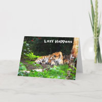 Lazy Happens Siberian Tiger