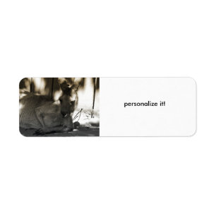 lazy kangoroo return address lable