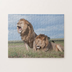 Lazy Lion Brothers on the Savannah Jigsaw Puzzle