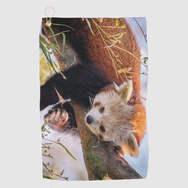 Lazy little red panda golf towel (Front)