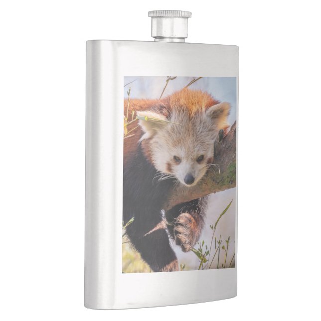 Lazy little red panda hip flask (Right)