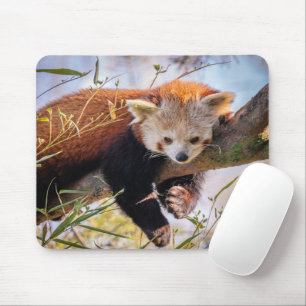 Lazy little red panda mouse pad