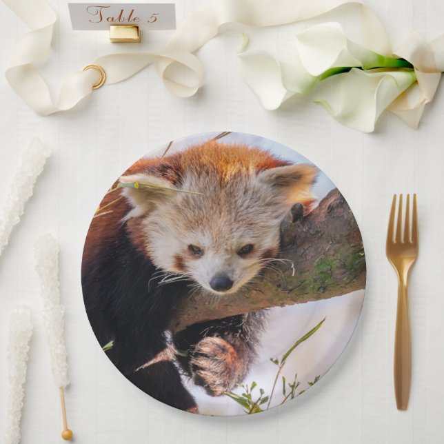 Lazy little red panda paper plate (Wedding)