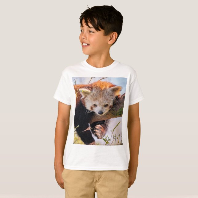 Lazy little red panda T-Shirt (Front Full)