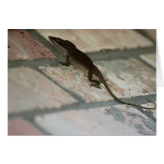 Lazy Lizard