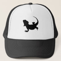 Lazy Lizard