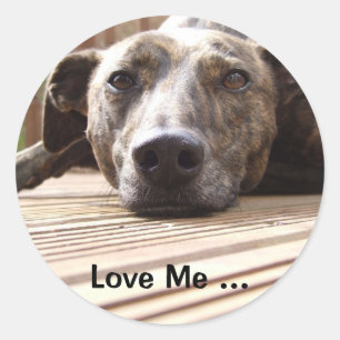 Lazy Lurcher Classic Round Sticker