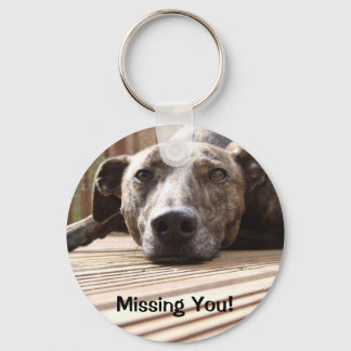 Lazy Lurcher Key Ring