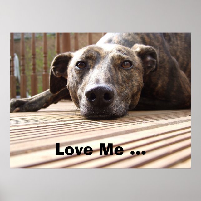 Lazy Lurcher Poster (Front)