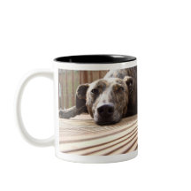 Lazy Lurcher