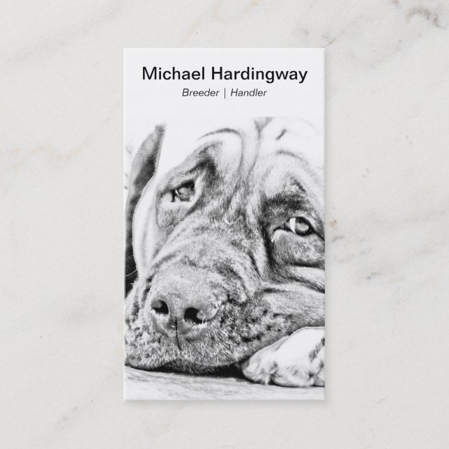 Lazy Mastiff Business Card (Front)