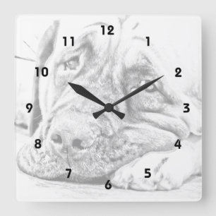Lazy Mastiff Square Wall Clock