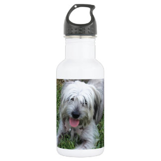 Lazy Mutt 2 532 Ml Water Bottle