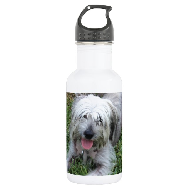Lazy Mutt 532 Ml Water Bottle (Front)