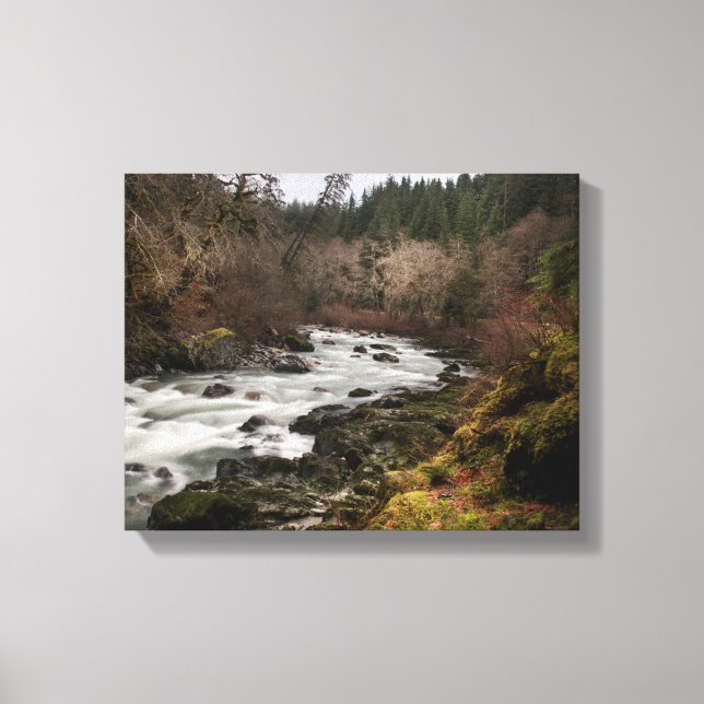 Lazy River Canvas Print (Front)