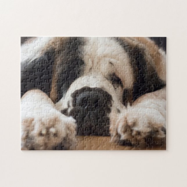 Lazy Saint Bernard dog Jigsaw Puzzle (Horizontal)