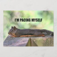 Lazy Squirrel Photo