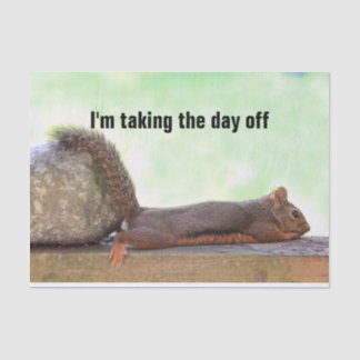 Lazy Squirrel Tissue Paper