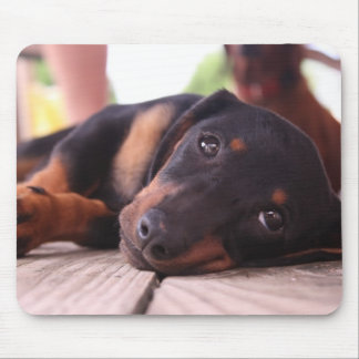 Lazy Summer Day Mouse Pad