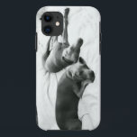 Lazy Weimaraners Case-Mate iPhone Case<br><div class="desc">If you've ever loved a Weim,  you don't need any explanation... </div>