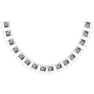 Le Cat du Cafe Bunting