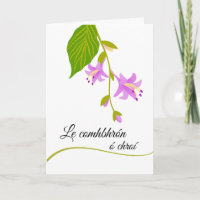 Le comhbhrón ó chroí Sympathy in Gaelic Botanical