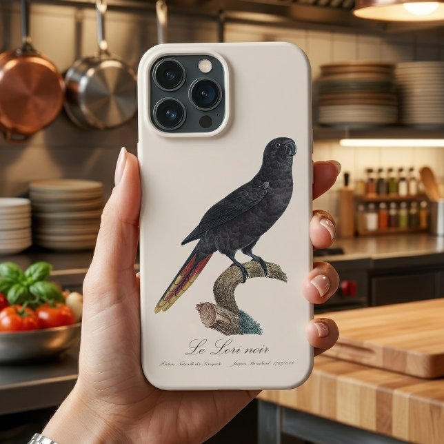 Le Lori noir / Black lory  Case-Mate iPhone Case (Black Lory or Red-Quilled Lory, Chalcopsitta atra. iPhone Case)