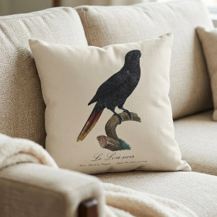 Le Lori noir / Black lory  Cushion