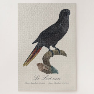 Le Lori noir / Black lory  Jigsaw Puzzle