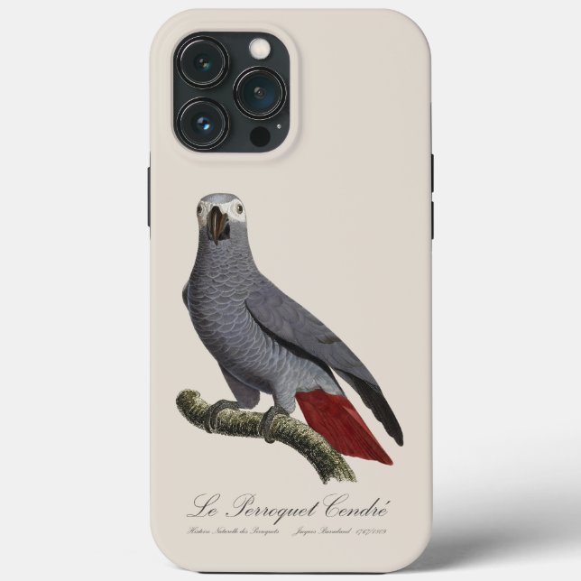 Le Perroquet Cendre - 19th century illustration  Case-Mate iPhone Case (Back)