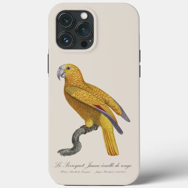 Le Perroquet Jaune ecaille de rouge  Case-Mate iPhone Case (Back)