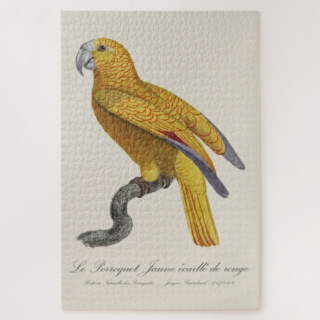 Le Perroquet Jaune ecaille de rouge  Jigsaw Puzzle (Vertical)