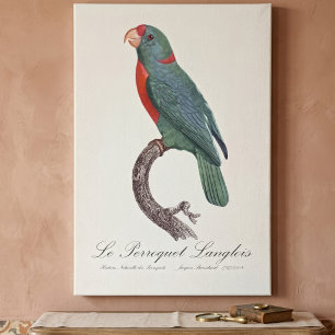 Le Perroquet Langlois by Jacques Barraband Canvas Print