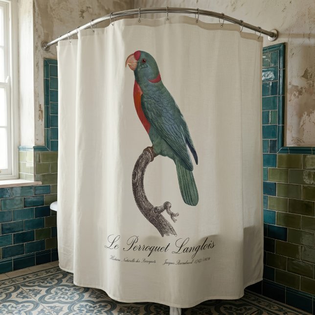 Le Perroquet Langlois by Jacques Barraband Shower Curtain (Le Perroquet Langlois by Jacques Barraband. Shower Curtain)