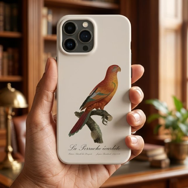 Le Perruche ecarlate  Case-Mate iPhone Case (Red Lory or Eos Bornea, Trichoglossus borneus. iPhone Case)