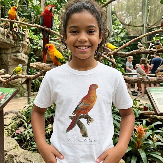 Le Perruche ecarlate  T-Shirt (Red Lory or Eos Bornea, Trichoglossus borneus. Girl Basic White T-Shirt)