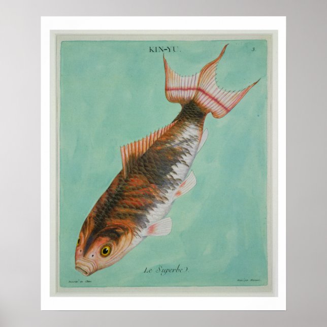 Le Superbe, engraved by Francois Nicholas Martinet Poster (Front)