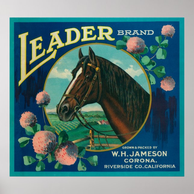 Leader Orange LabelCorona, CA Poster (Front)